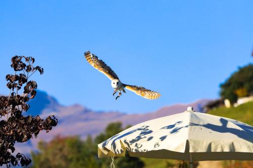 Hotel Panorama - image 11