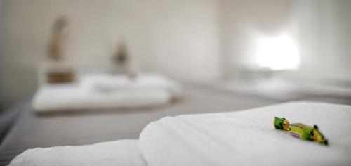 TinkerBell GuestHouse, Roma (foto 11)