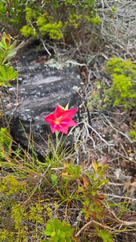 Whale Watchers studio