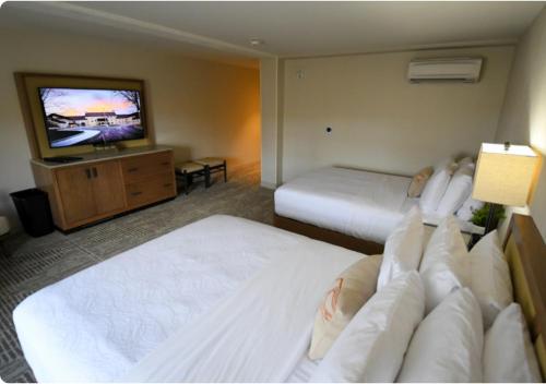 2 queen beds