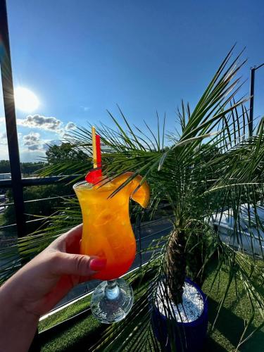 博托沙尼尊贵酒店 博托沙尼尊贵酒店