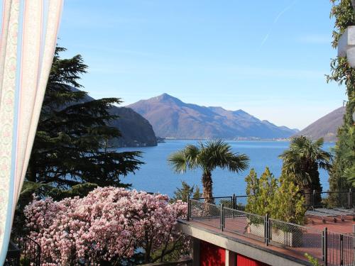 Barony Olive mit Hund in Lugano, Schweiz