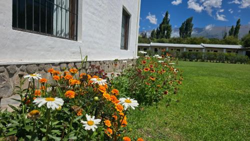 Habitaciones El Ángel
