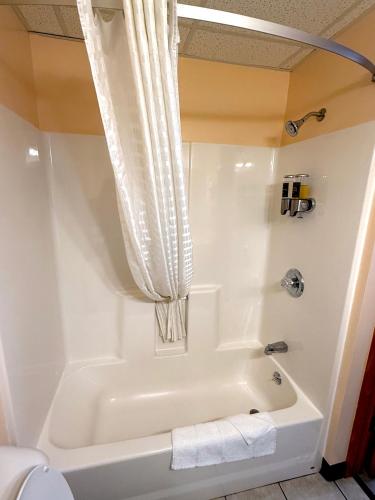 Cadillac Inn in Cadillac (MI)