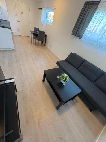 Temis apartment, private new 1 bed room and 1 living room with sofa bed and lagre kitchen, share with nobody, Oslo (photo 2)