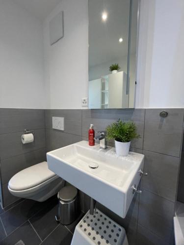 BASELiving 3,5 Room Apartment - Bahnhof Basel SBB - Self Check-in, Basilej (fotografie 7)