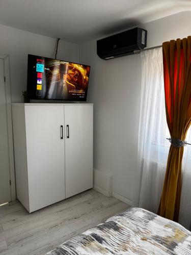 Muz, Filiaşi (Foto 9)