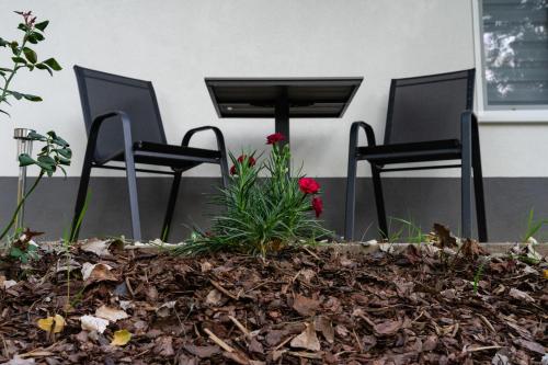 Tiszavirág Apartman Màrtèly (Tiszavirag Apartman Martely) in Mindszent