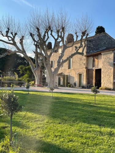 Gîte Mas provençal gîte à louer Lansac