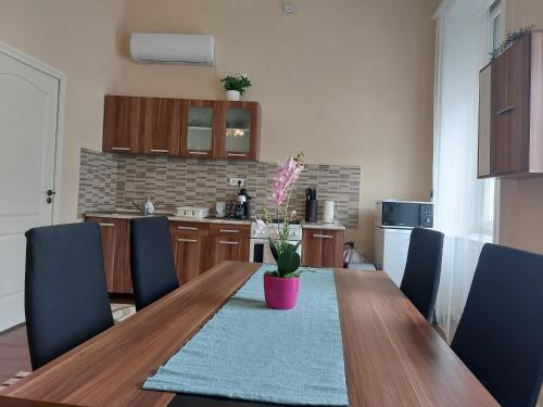 Kitchen, Kincstar Apartmanok in Sátoraljaújhely