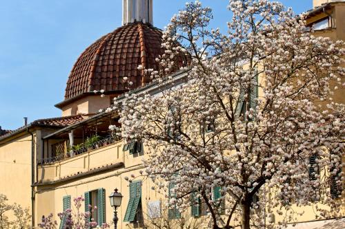 Casa San Girolamo Historic flat with cosy Terrace in Lucca's city Centre
