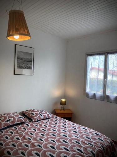 les capucines du volcan allée coco