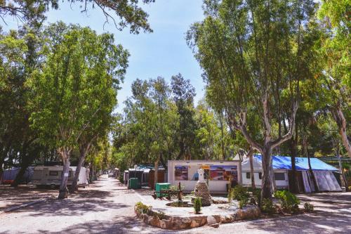 Camping Torrenostra - image 10