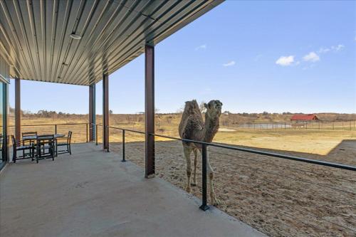 659450922 Blue Hills Ranch