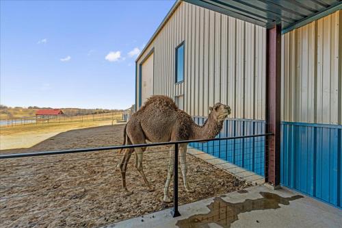 659450951 Blue Hills Ranch