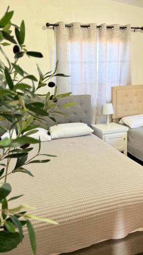 Hotel Mision Ferrer