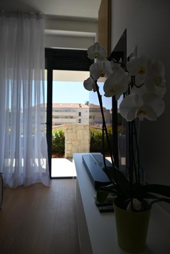 Designer Apartment Marija - Tap to explore photos