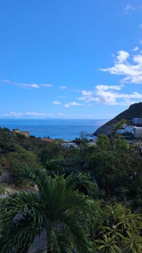 景色, The Tree House in ポイント ブランチ