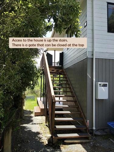 Lake Escape Okere Jetty on Lake Rotoiti, Rotorua