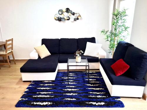 Big, cozy, central flat