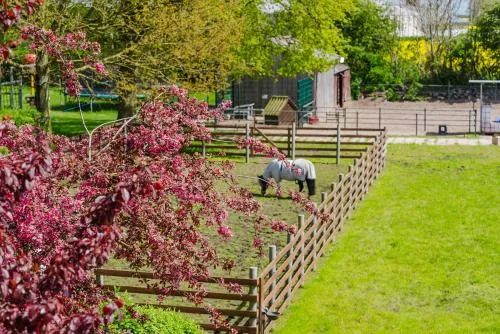 Ferienwohnung Fachwerkhaus - Süden oben - Bauernhof Hopp Vadersdorf in Fehmarn, Deutschland