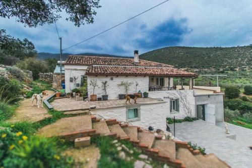 Zen Blue Elaia - Serenity and Nature in Peloponnese in 네스타니