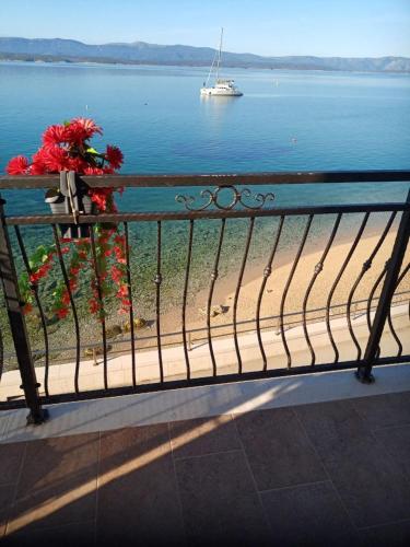Apartment Zdravko - 5 m from beach - image 4