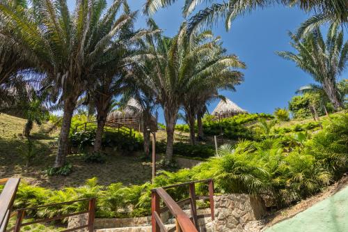 Навколишнє середовище, Zirwa Hotel Boutique - Dentro del Parque Tayrona in Парк Тайрона