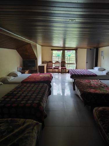 Munnar Days - image 3