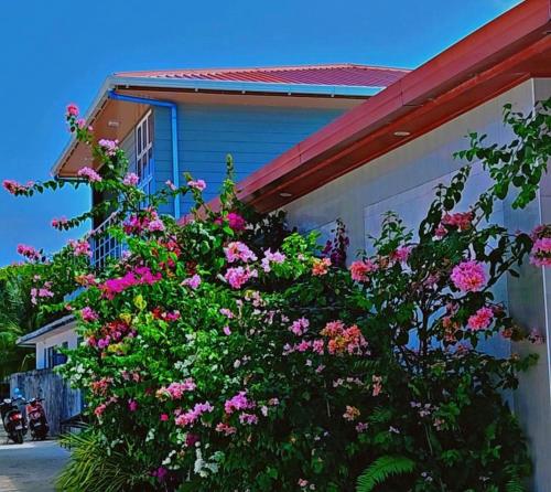 حديقة, Jazz guest house in شافياني أتول