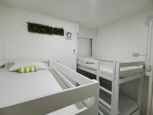 Resorts Side Hostel Room Type - Standard 4 bed dormitory female