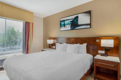 Comfort Suites East Knoxville - image 11