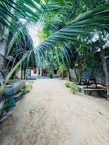 Omgeving, Uluwatu Surf Hostel - Arugambay in Arugam Bay