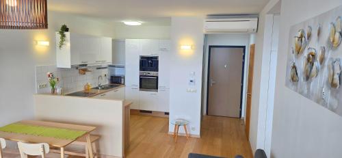 CASTLE view SKY, 3 rooms, PANORAMA loggia, FREE parking, wifi, old town, Bratislava