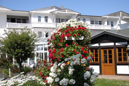 AKZENT Waldhotel Spa Rugen - 출입구