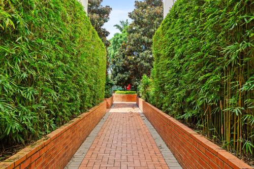 Hip Inner-City Living in Vibrant Erskineville - image 10