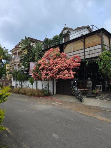 Sannyasa Wellness and Spa 4