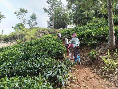 The Forest Villa, Kirimiri Hill, Runyenjes, Embu in Embu