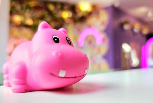 Pink Hotel - image 12