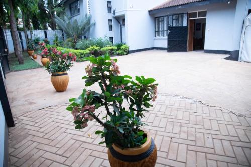 B&B HOTEL