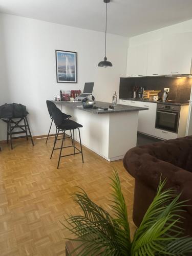 Magnificent apartment, Geneva Center, Geneva Lake, Genewa (zdjęcie 3)