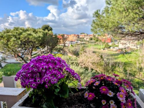 Yana Apartament Rome, Rom (Foto 7)