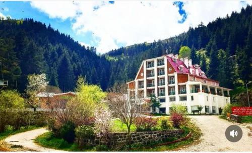 Hotel Green Valley Savsat Turkey