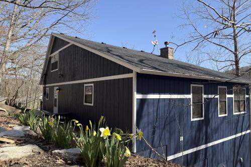 Lone Star Lake House in Eureka Springs, USA