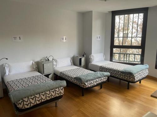 Aloha Hostel Room Type - Single Bed in Female Dormitory Room