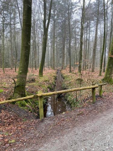 Landliebe, Langenhorn (photo 6)