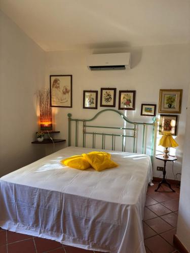 Cottage with a great fenced garden in the Tuscan countryside, Cecina (foto 2)
