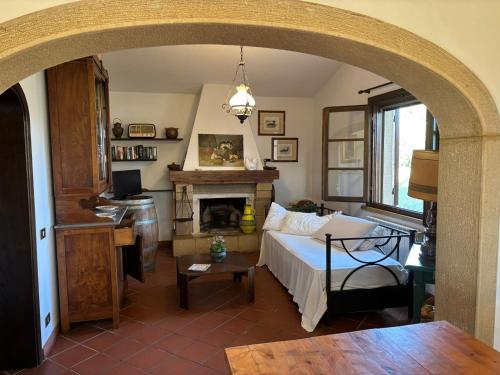 Cottage with a great fenced garden in the Tuscan countryside, Cecina (foto 3)