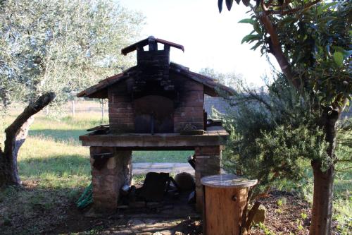 Cottage with a great fenced garden in the Tuscan countryside, Cecina (foto 8)