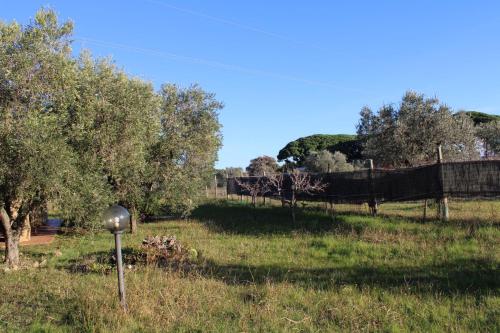 Cottage with a great fenced garden in the Tuscan countryside, Cecina (foto 4)